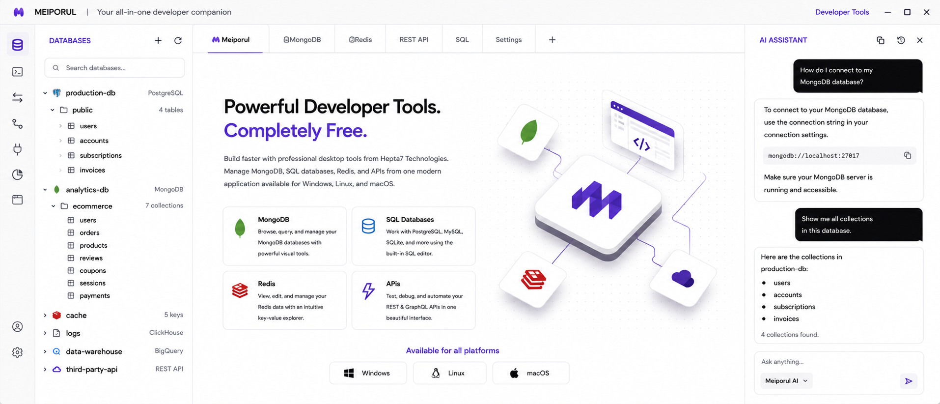 Meiporul Desktop Workspace UI Overview